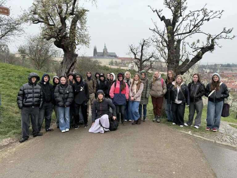 Vycházka žáků oboru Zahradník za památnými stromy